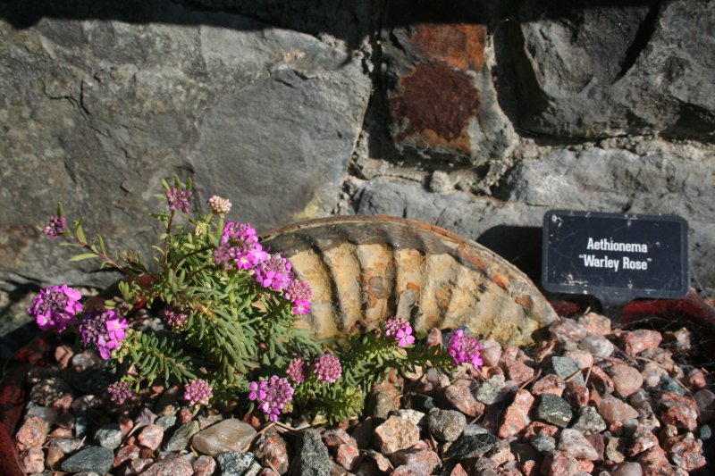 2019-03-29 16.32.08.jpg