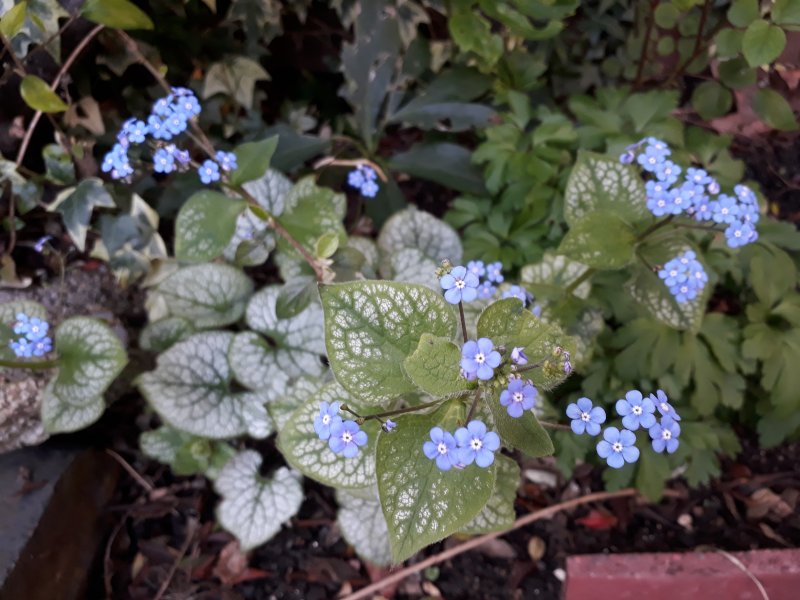 2019-04-07 11.46.28.jpg