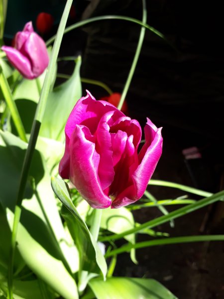 2019-04-11 15.10.11.jpg