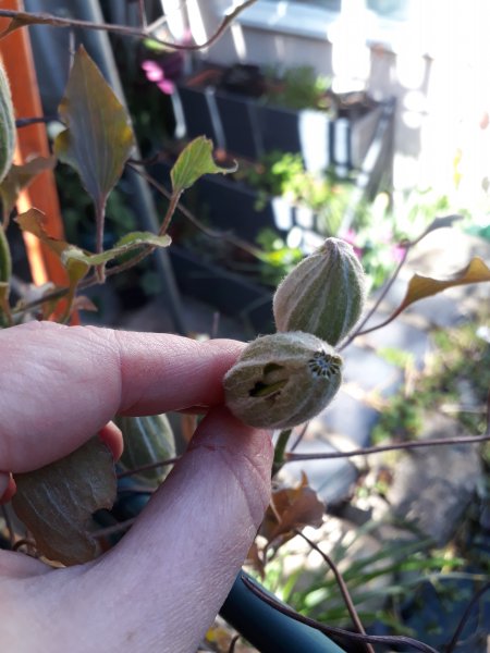 2019-04-11 15.11.09.jpg