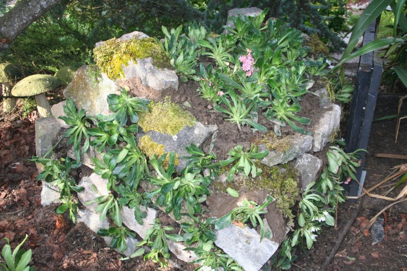 2019-04-12 17.01.11.jpg