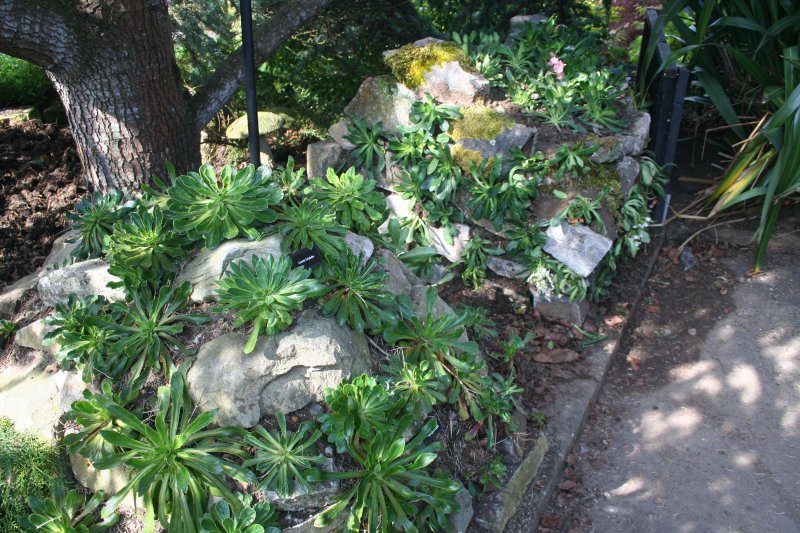 2019-04-12 17.01.24.jpg