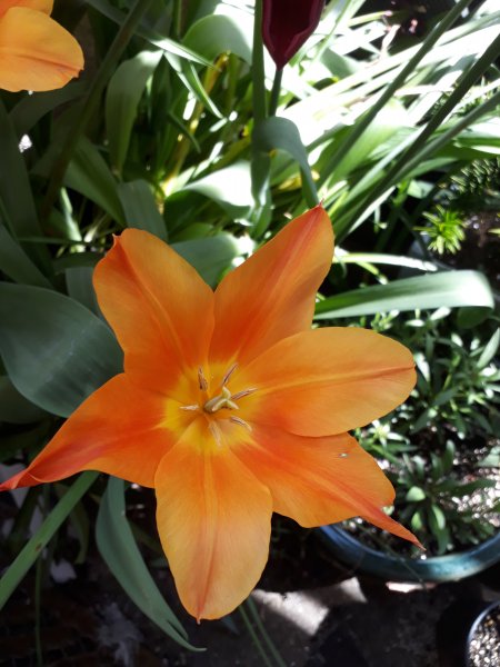 2019-04-20 13.05.30.jpg