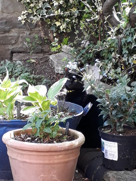 2019-04-20 13.06.01.jpg