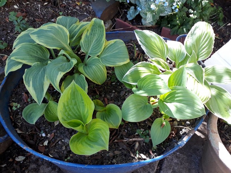 2019-04-21 12.21.00.jpg