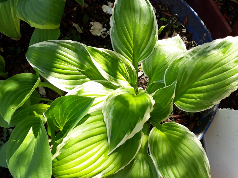 2019-04-21 12.21.05.jpg