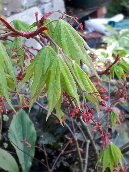 2019-04-22 13.14.52.jpg