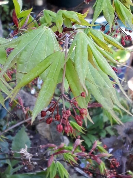 2019-04-22 13.15.01.jpg