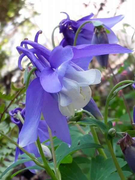 2019-04-22 13.25.58.jpg