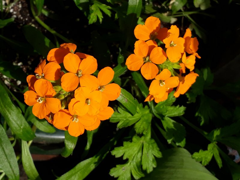 2019-05-07 13.30.12.jpg