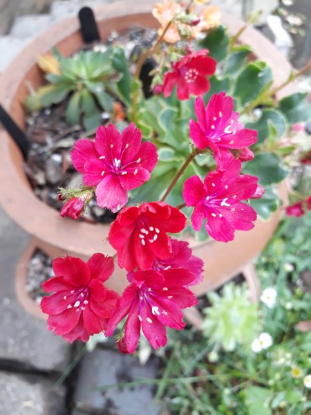 2019-05-07 13.50.50-1.jpg