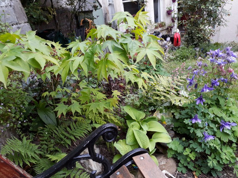 2019-05-07 14.43.33.jpg