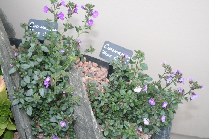 2019-05-11 00.31.25.jpg