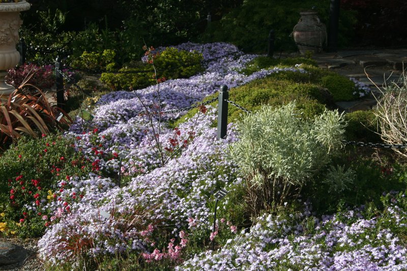 2019-05-11 00.36.36.jpg