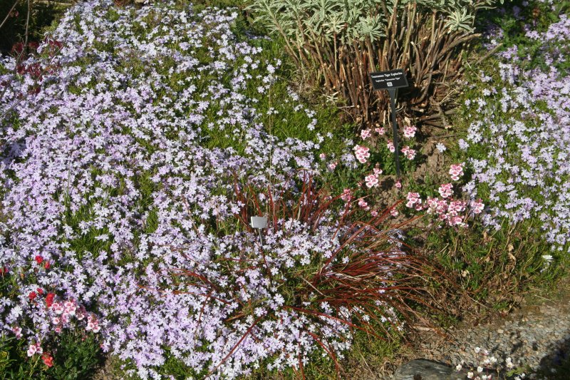 2019-05-11 00.38.18.jpg