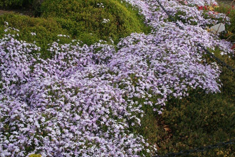 2019-05-11 00.39.42.jpg