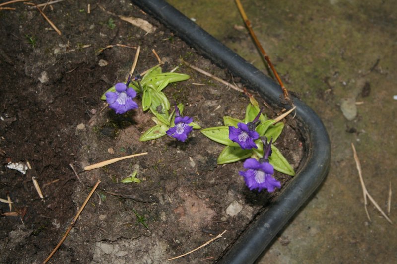 2019-05-11 00.45.46.jpg