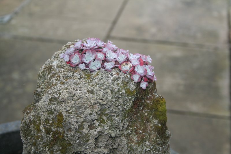 2019-05-11 00.46.05.jpg