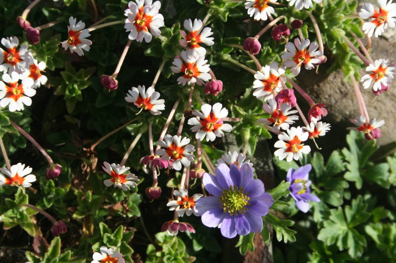 2019-05-11 00.51.43.jpg