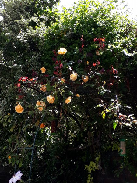 2019-05-20 14.42.47.jpg