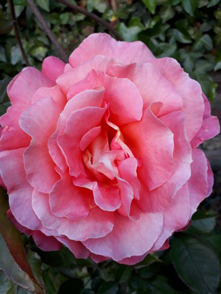 2019-05-30 19.33.14.jpg