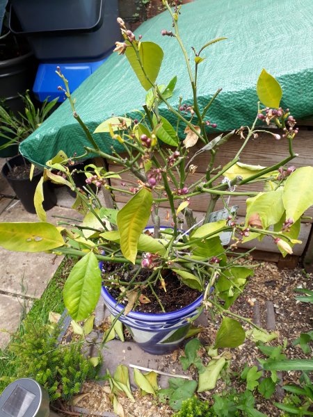 2019-07-13 14.37.17.jpg