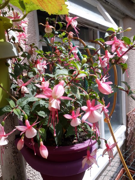 2019-08-01 12.18.25.jpg