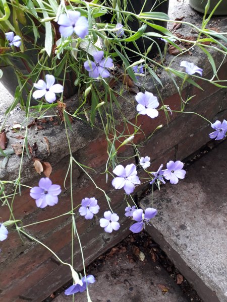 2019-08-01 13.06.57.jpg