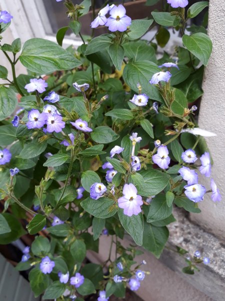 2019-08-01 13.09.56.jpg