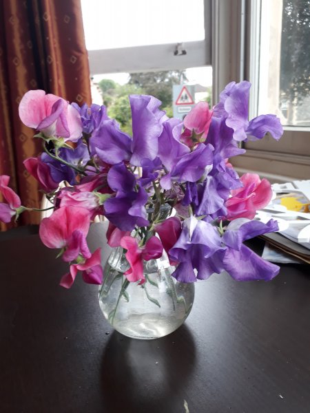 2019-08-06 12.19.42.jpg