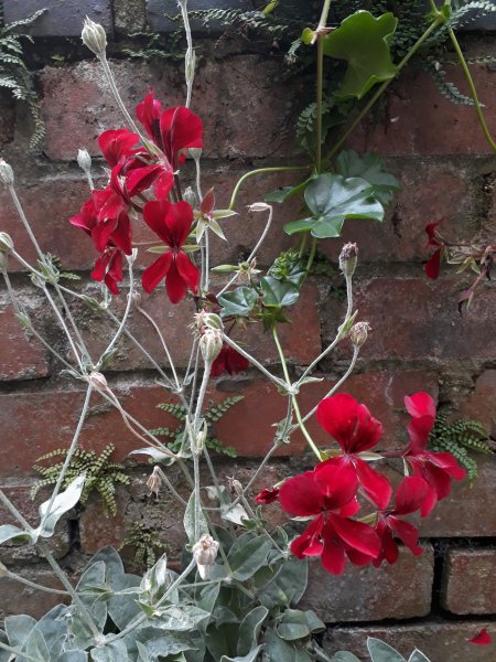 2019-08-08 16.09.40.jpg