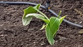 2019-09-22 08.51.15.jpg