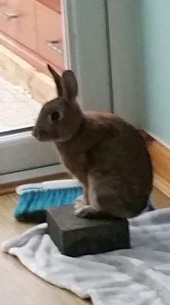 2019-11-14 15.32.02.jpg