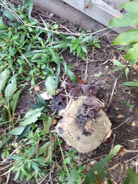 20191005_141658 (002).jpg