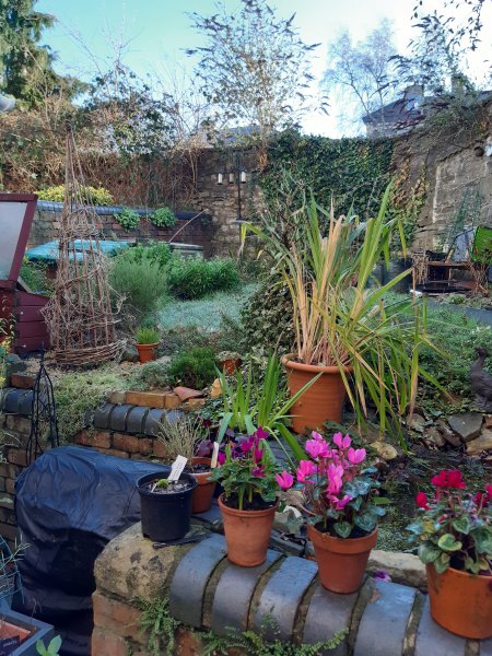 2020-01-21 11.26.01.jpg