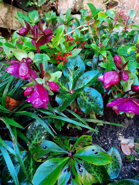 2020-01-21 13.49.39.jpg