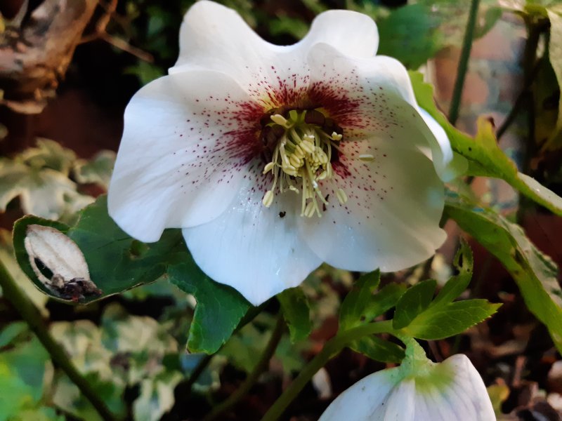 2020-01-21 13.51.22.jpg