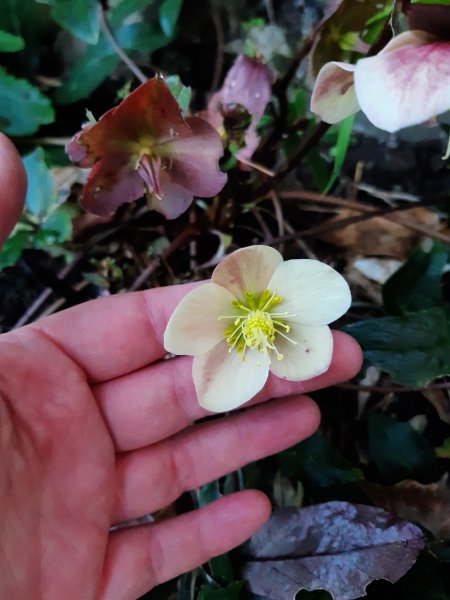 2020-02-06 16.28.09.jpg