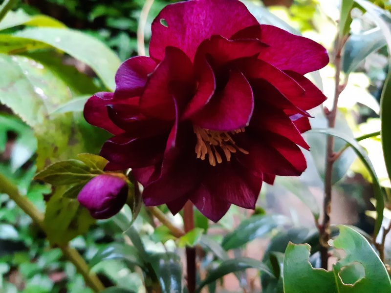 2020-02-06 16.28.53.jpg