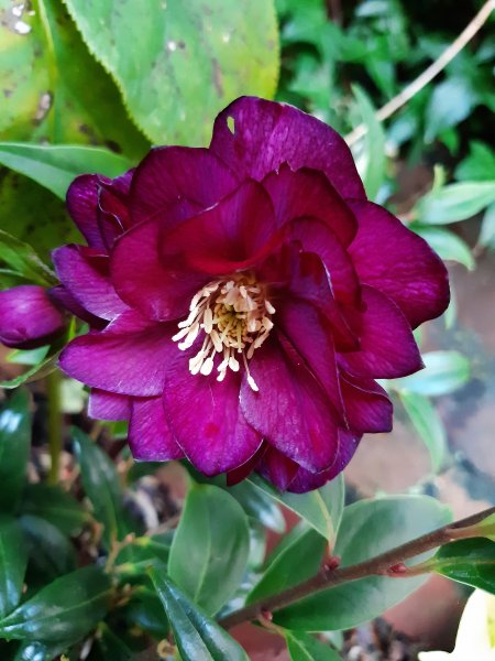 2020-02-06 16.29.20.jpg