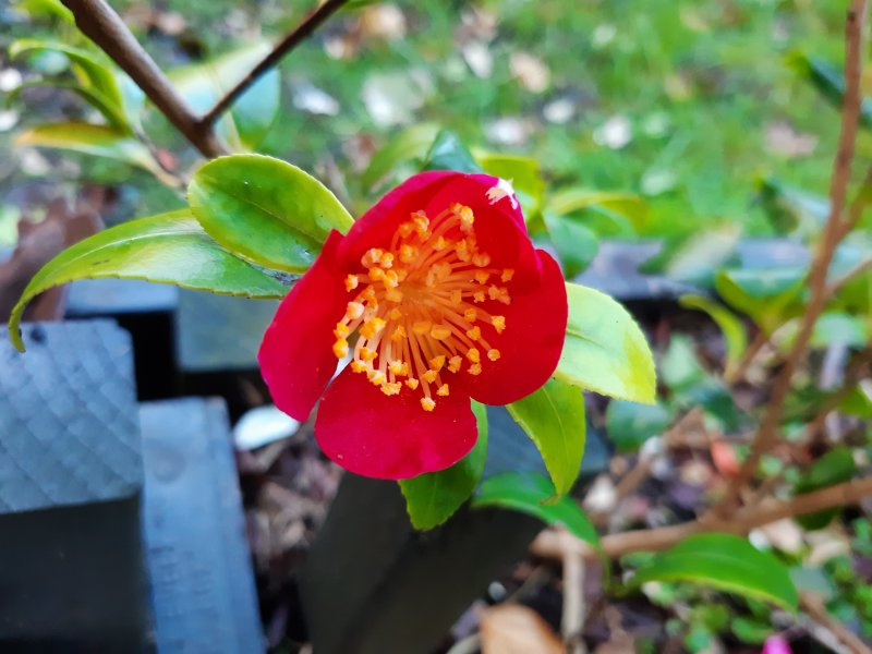 2020-02-12 10.34.12.jpg