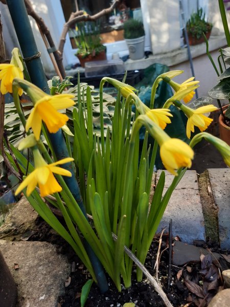 2020-02-12 10.34.50.jpg