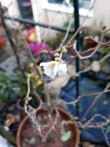 2020-02-12 10.35.25.jpg