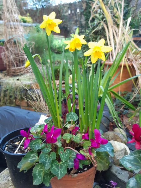 2020-02-12 10.35.49.jpg