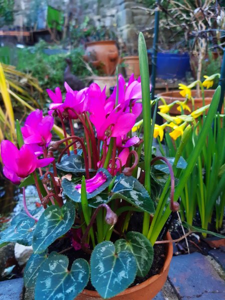 2020-02-12 10.35.55.jpg