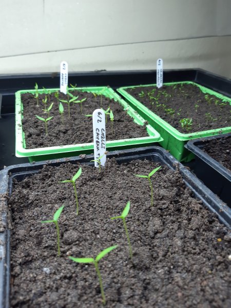 2020-02-16 09.58.23.jpg