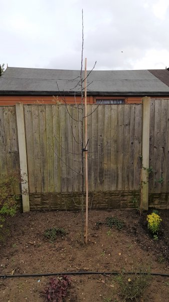 2020-02-17 14.04.10.jpg