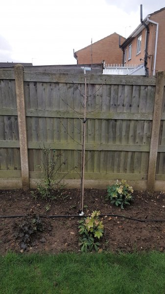 2020-02-17 14.04.21.jpg