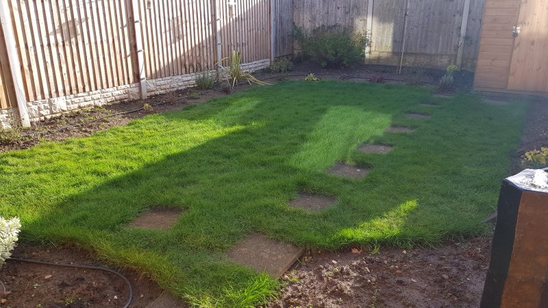 2020-02-22 09.39.43.jpg