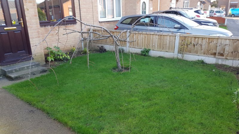 2020-02-22 09.40.17.jpg